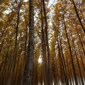 Meet your Posher, Juan